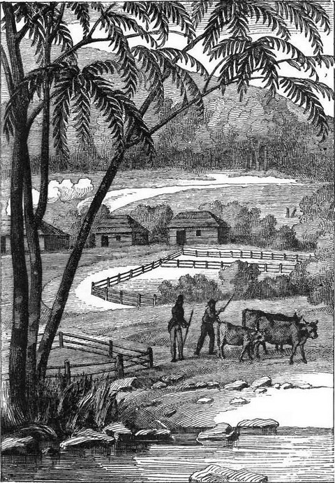 An Australian farm near the Blue Mountains